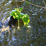 Costa Rica20150401-1949-0611